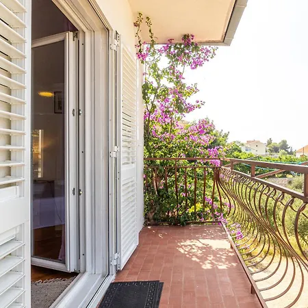 Vito * ポドゥゴラ